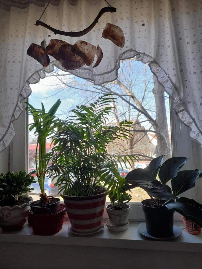 טימישוארה Apartament Anca מראה חיצוני תמונה