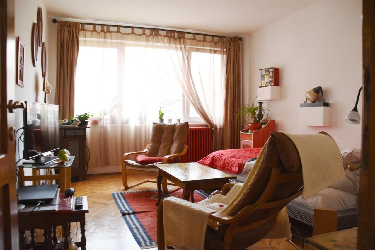 טימישוארה Apartament Anca מראה חיצוני תמונה