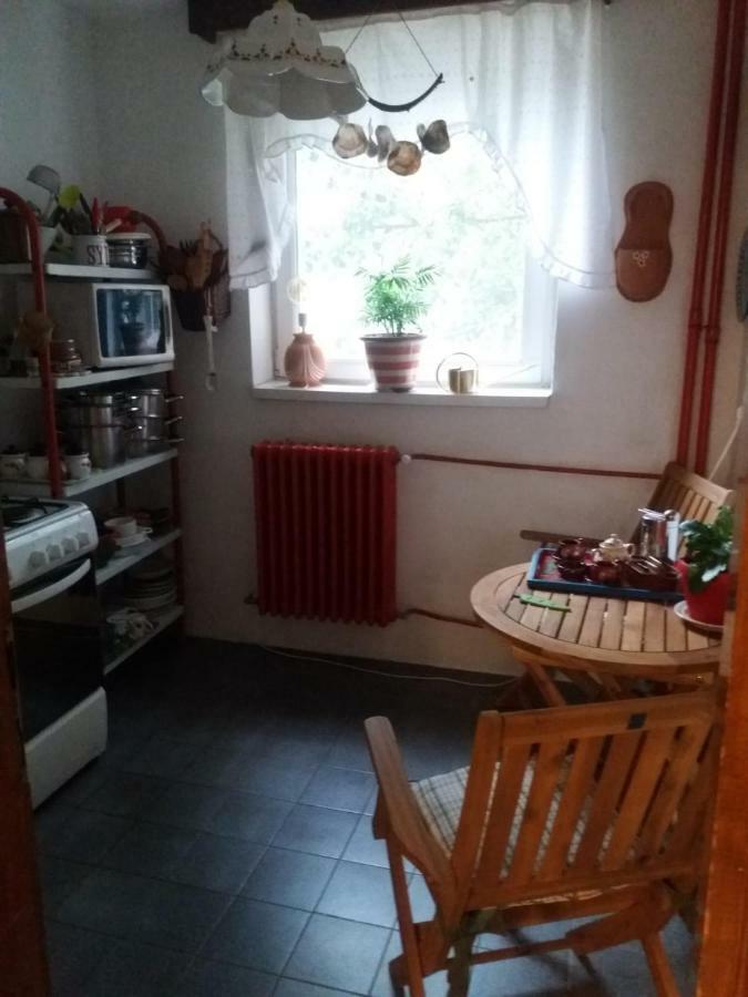 טימישוארה Apartament Anca מראה חיצוני תמונה