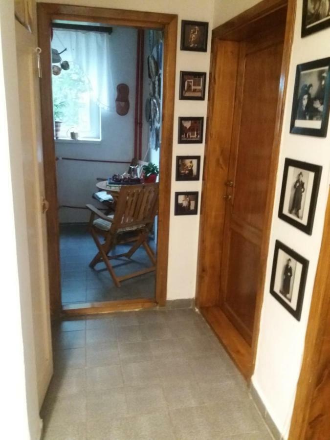 טימישוארה Apartament Anca מראה חיצוני תמונה