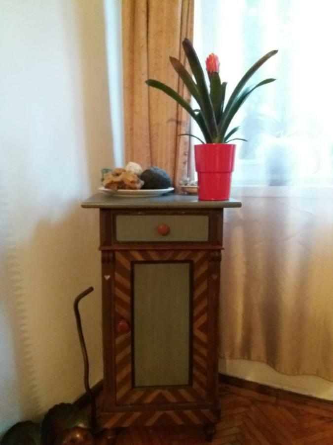טימישוארה Apartament Anca מראה חיצוני תמונה